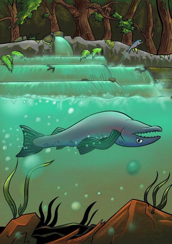 Dag 14 – Fisken